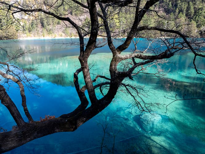 Jiuzhaigou Valley, Sparkling Lake