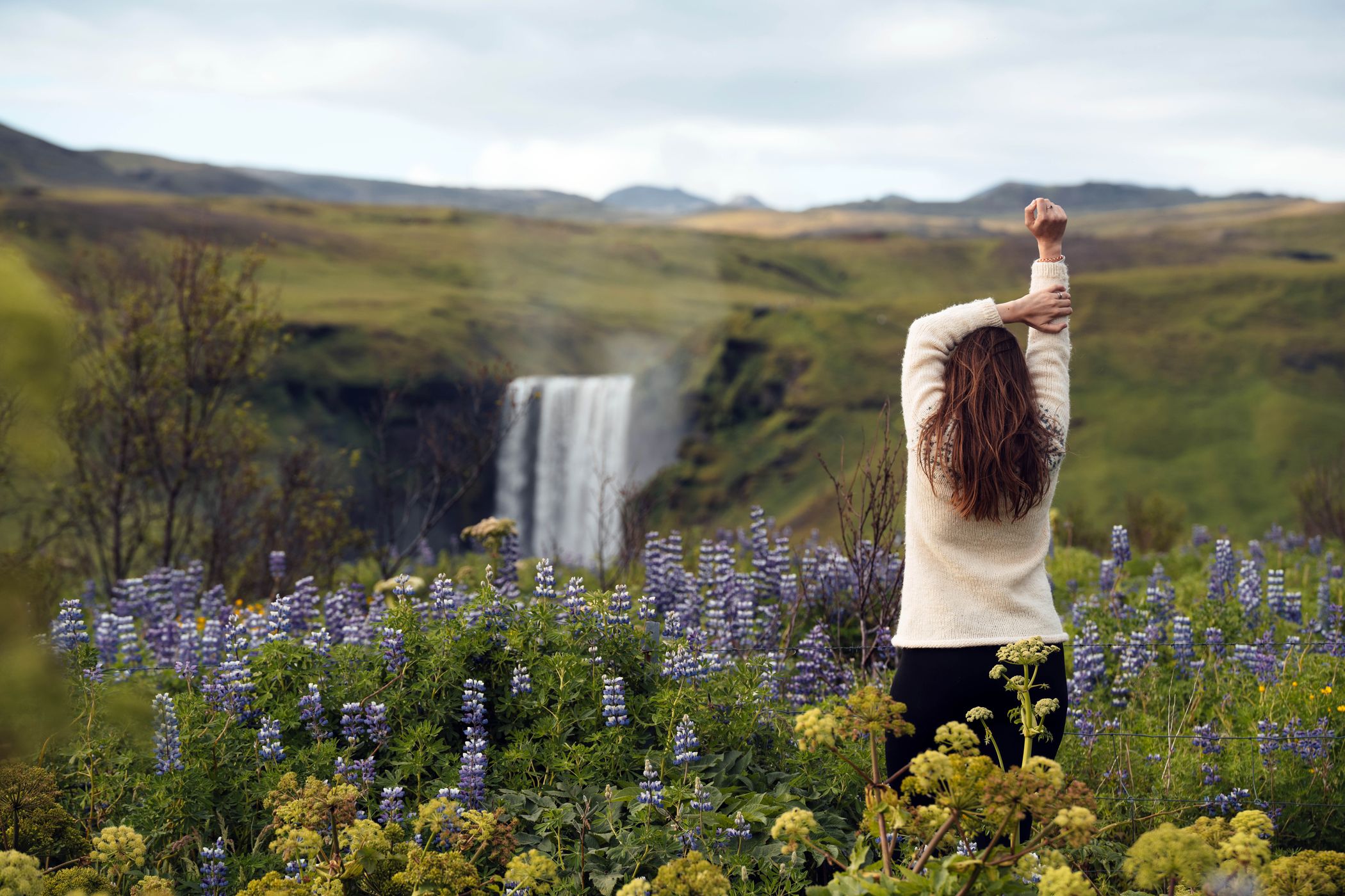 Lkogafoss with Lupines, Iceland
