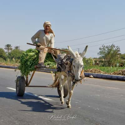 Madinat Habu, Egypt