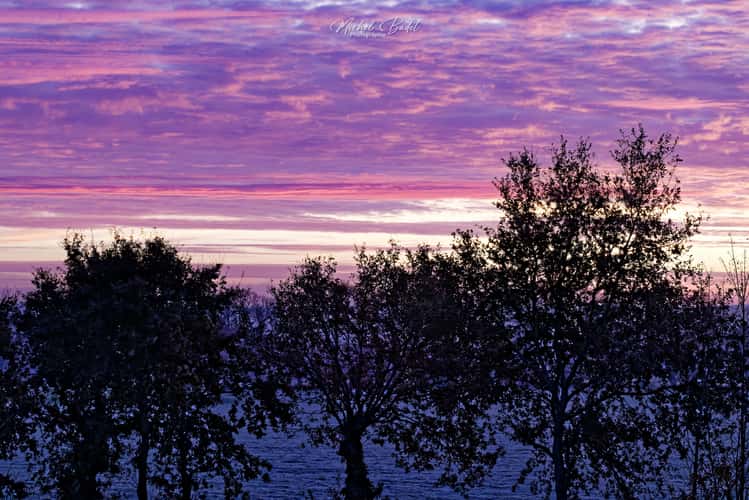 Melesse, Britanny fields