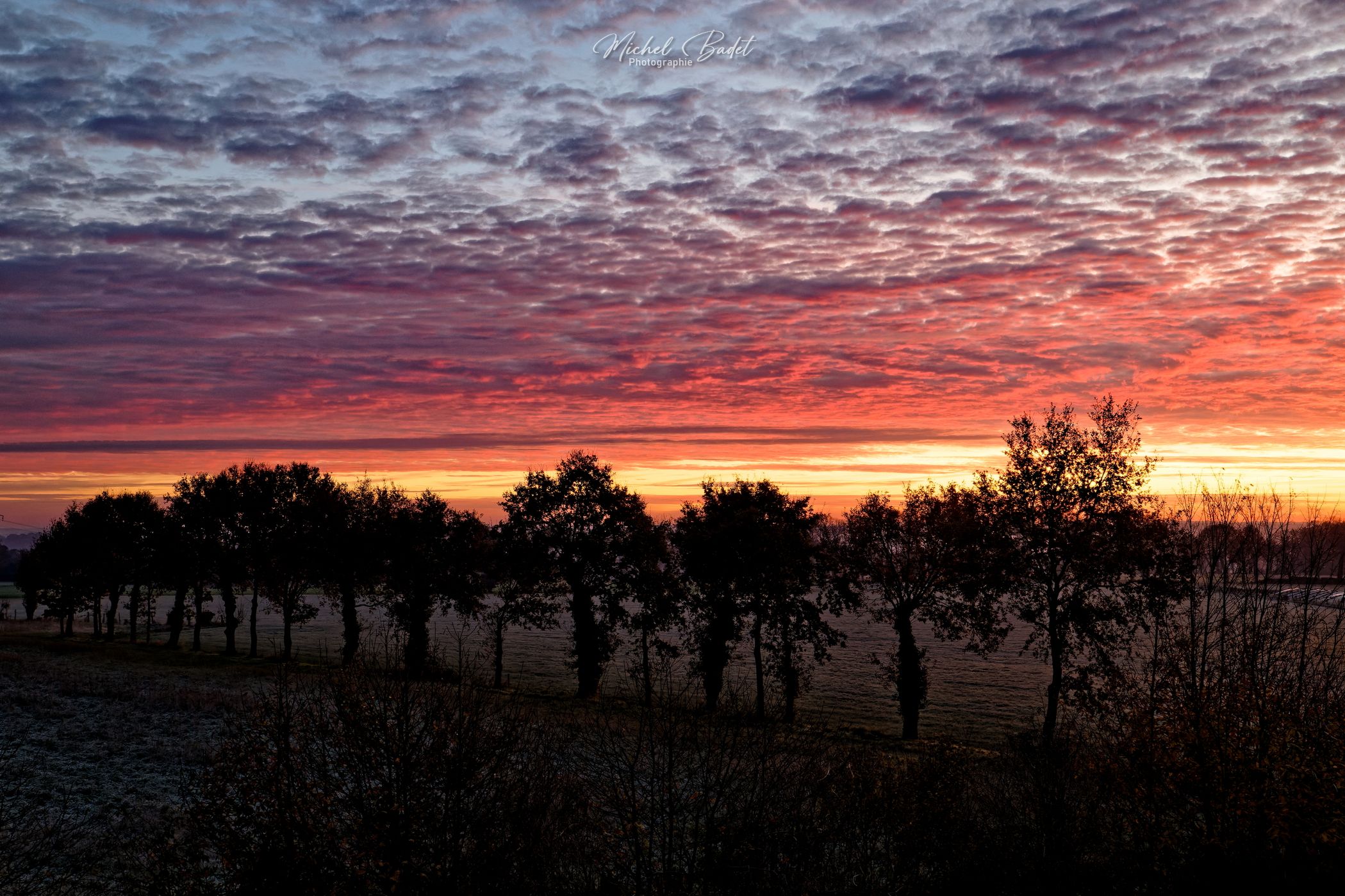 Melesse, Britanny fields, France
