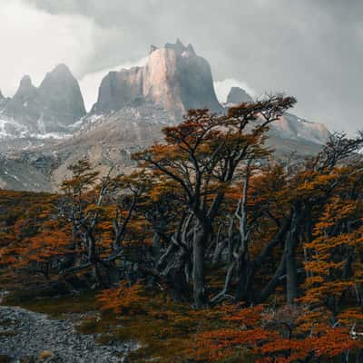 Mirador Valle del Frances, Torres del Paine, Chile