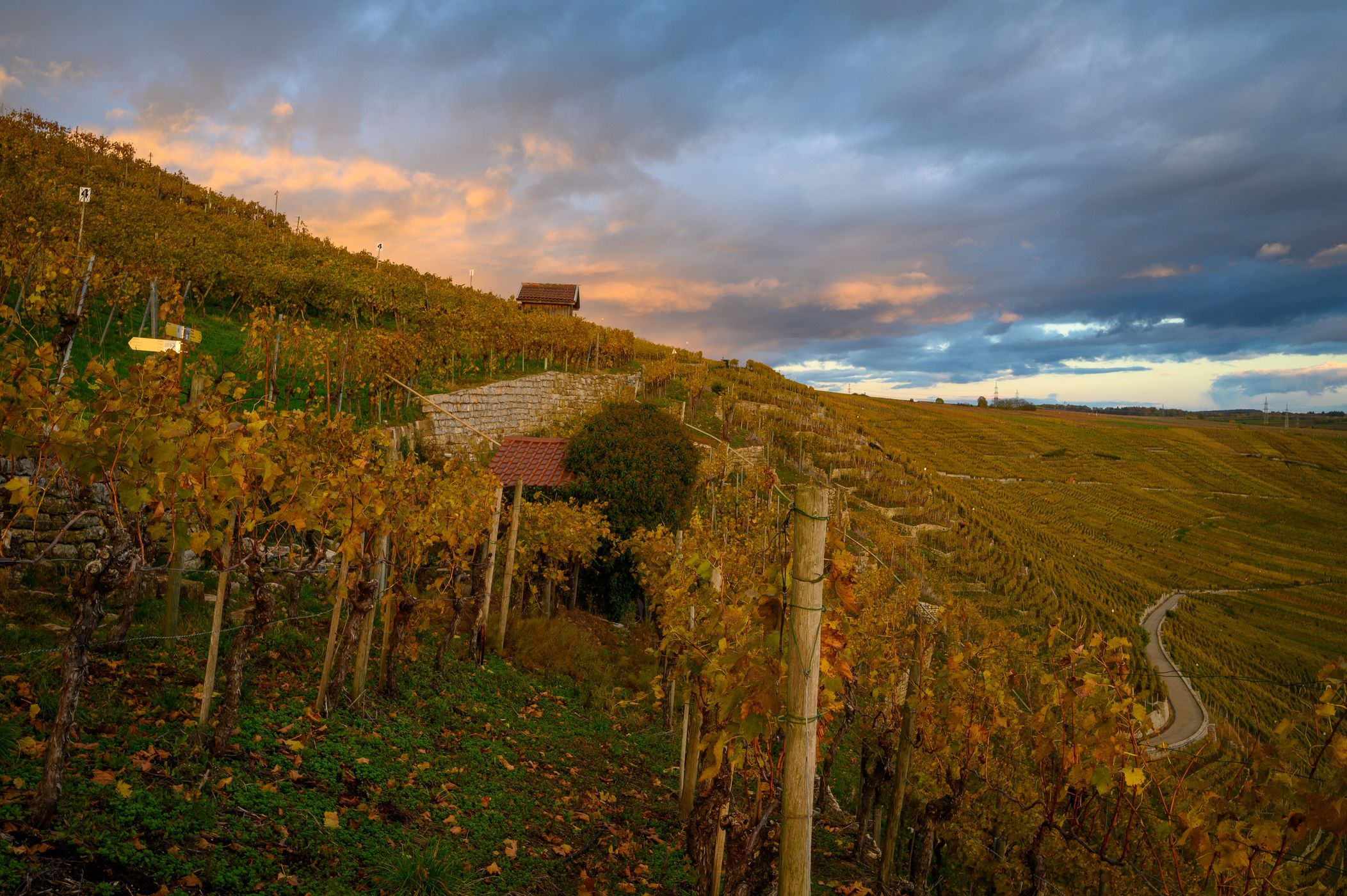 Neckarschleife bei Mundelsheim, Germany
