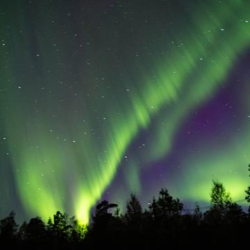 Northern lights in the middle of a forest clearing, Finland