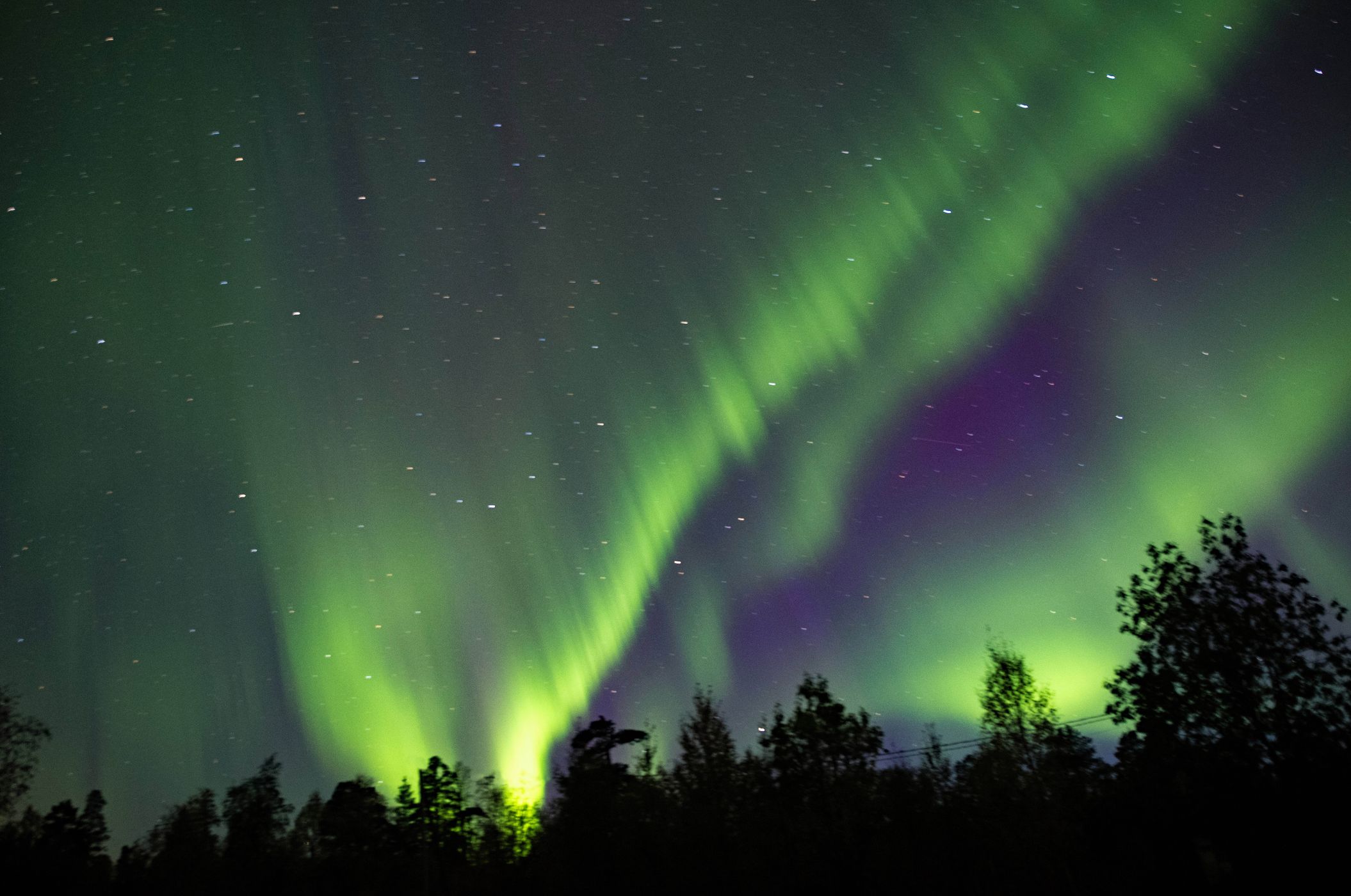 Northern lights in the middle of a forest clearing, Finland