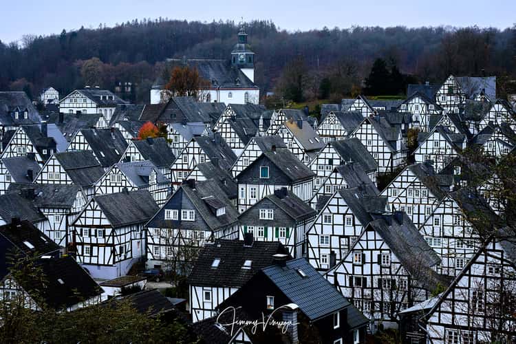 'Old spot', Freudenberg