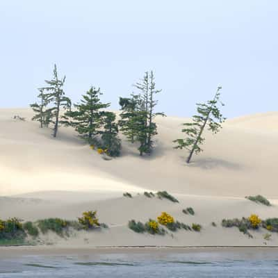 Oregon Dunes National Recreation Area, USA