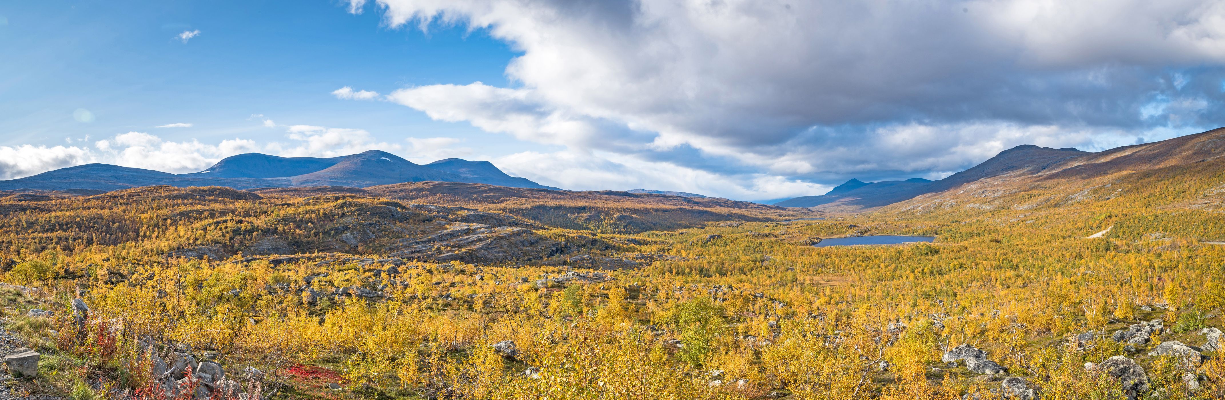 Overlooking the golden land with lake, Norway