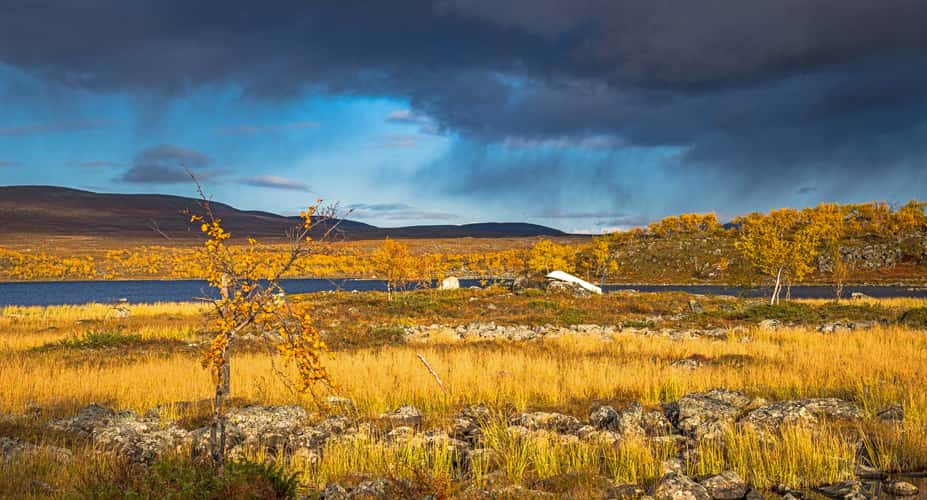 Rain comes and goes at the Tshahkajärvi.