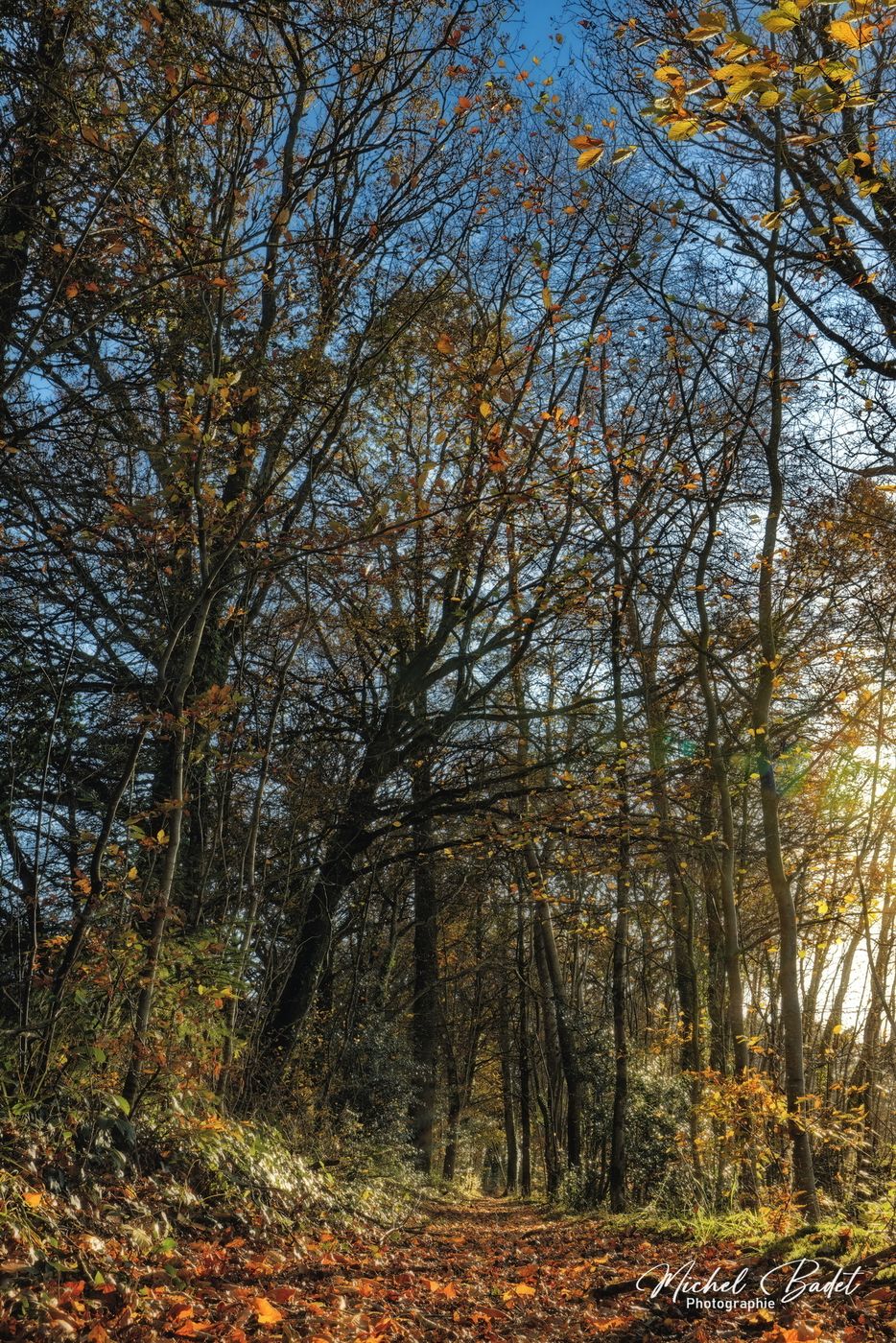 Rigole du Boulet, France