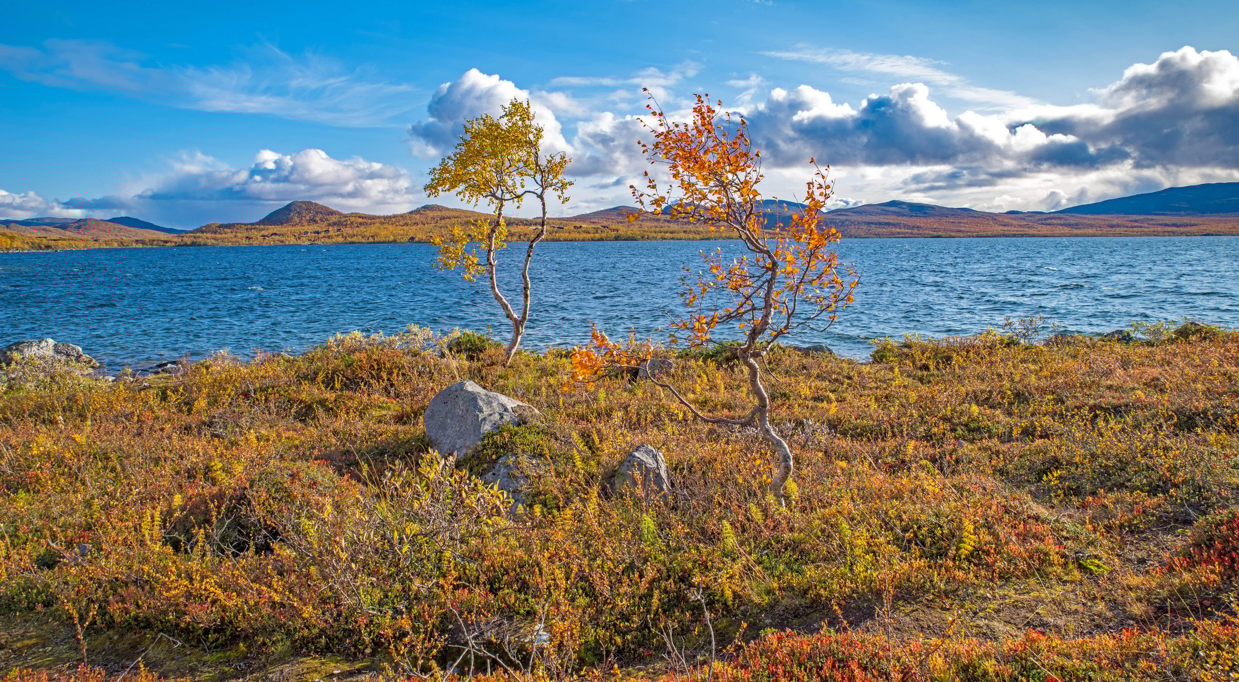 Top Photo Spots at ruska-time in 2024