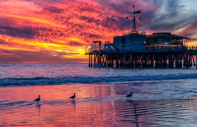 Santa Monica Pier, Los Angles, California