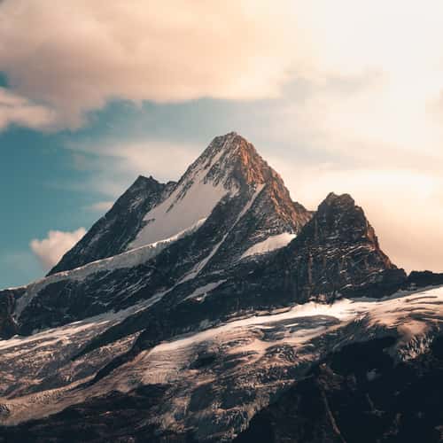 Schreckhorn from Grindelwald First