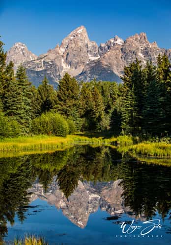 Schwabacher Landing