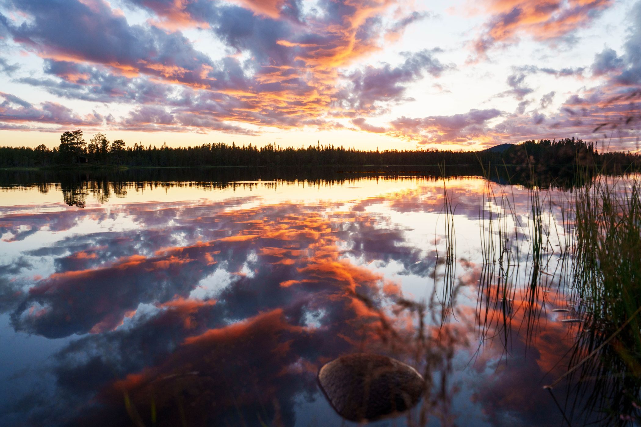 Södra Reivo, Sweden