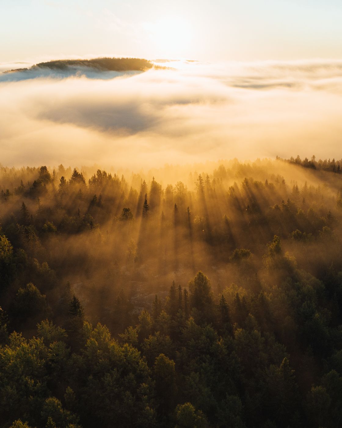 Swedish Mood, Sweden