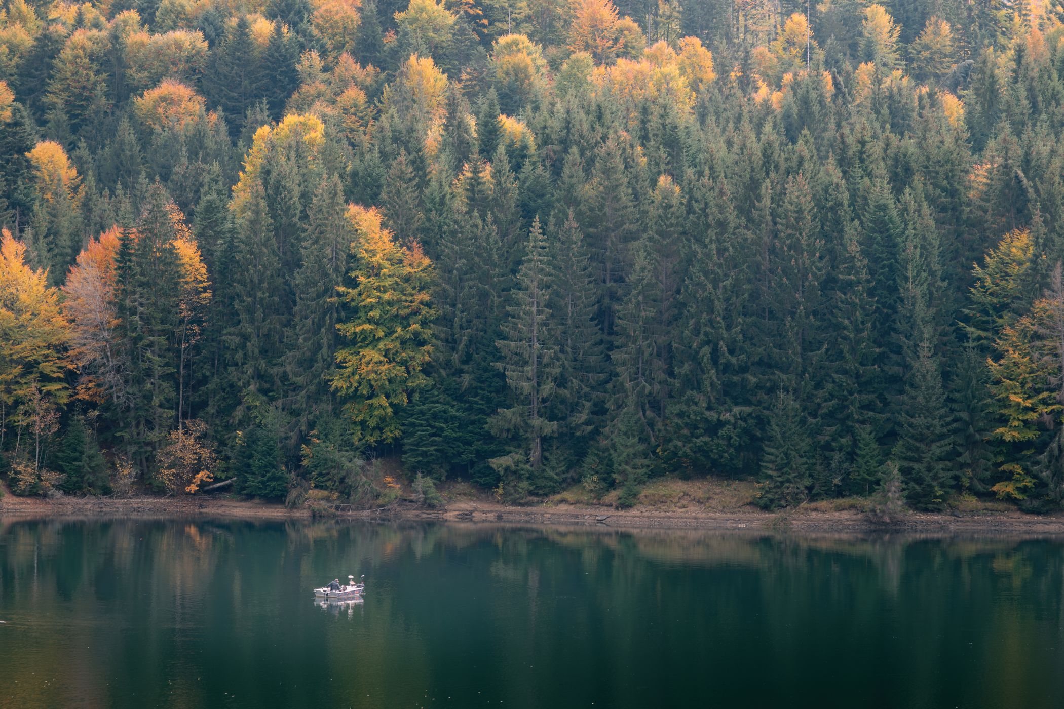 Taul Zanelor, Colibita, Romania, Romania
