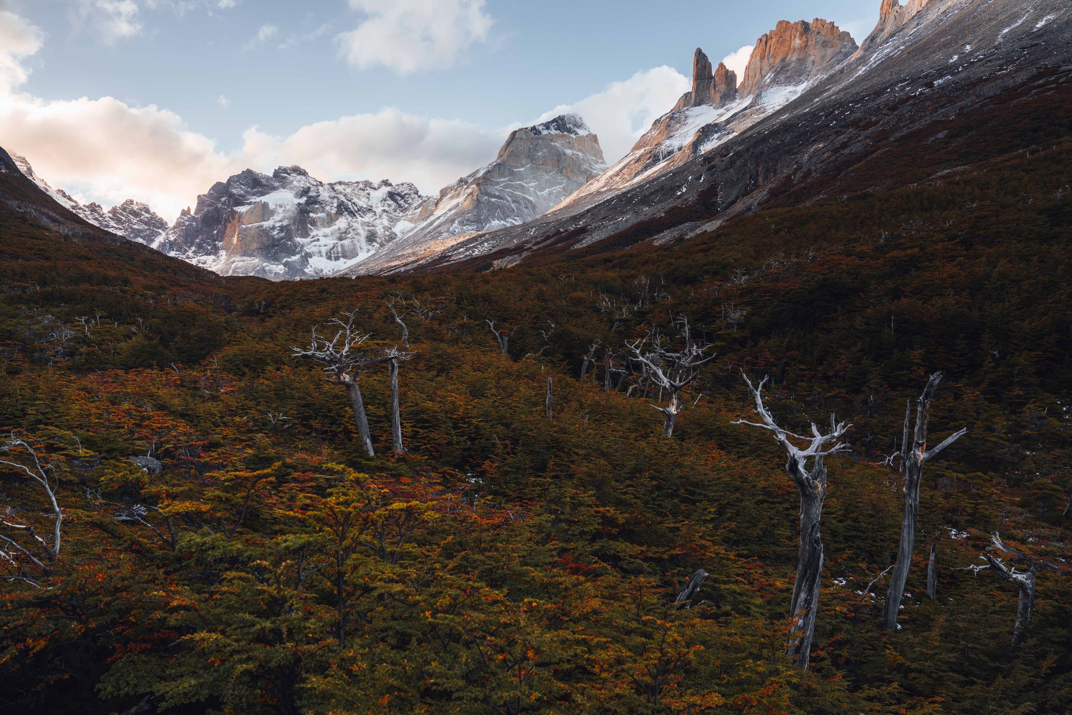 Valle del Frances, Chile