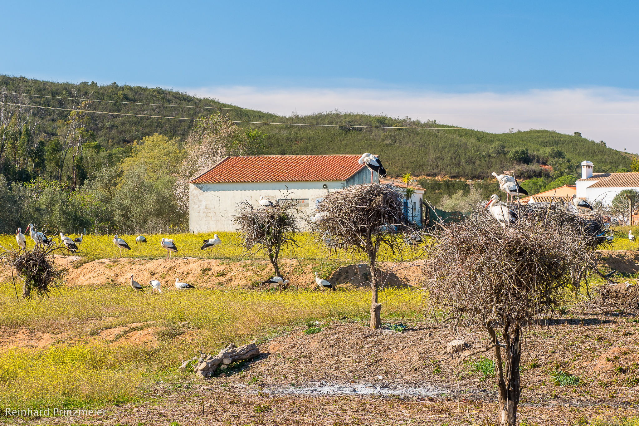 Valley of Storks, Portugal