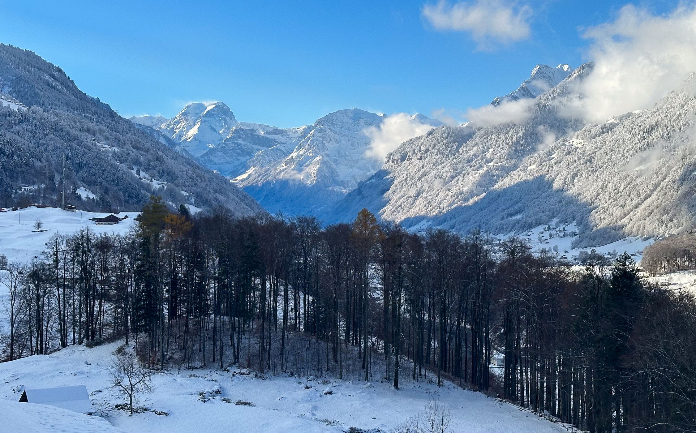 View on Mitlödi/GL, Switzerland