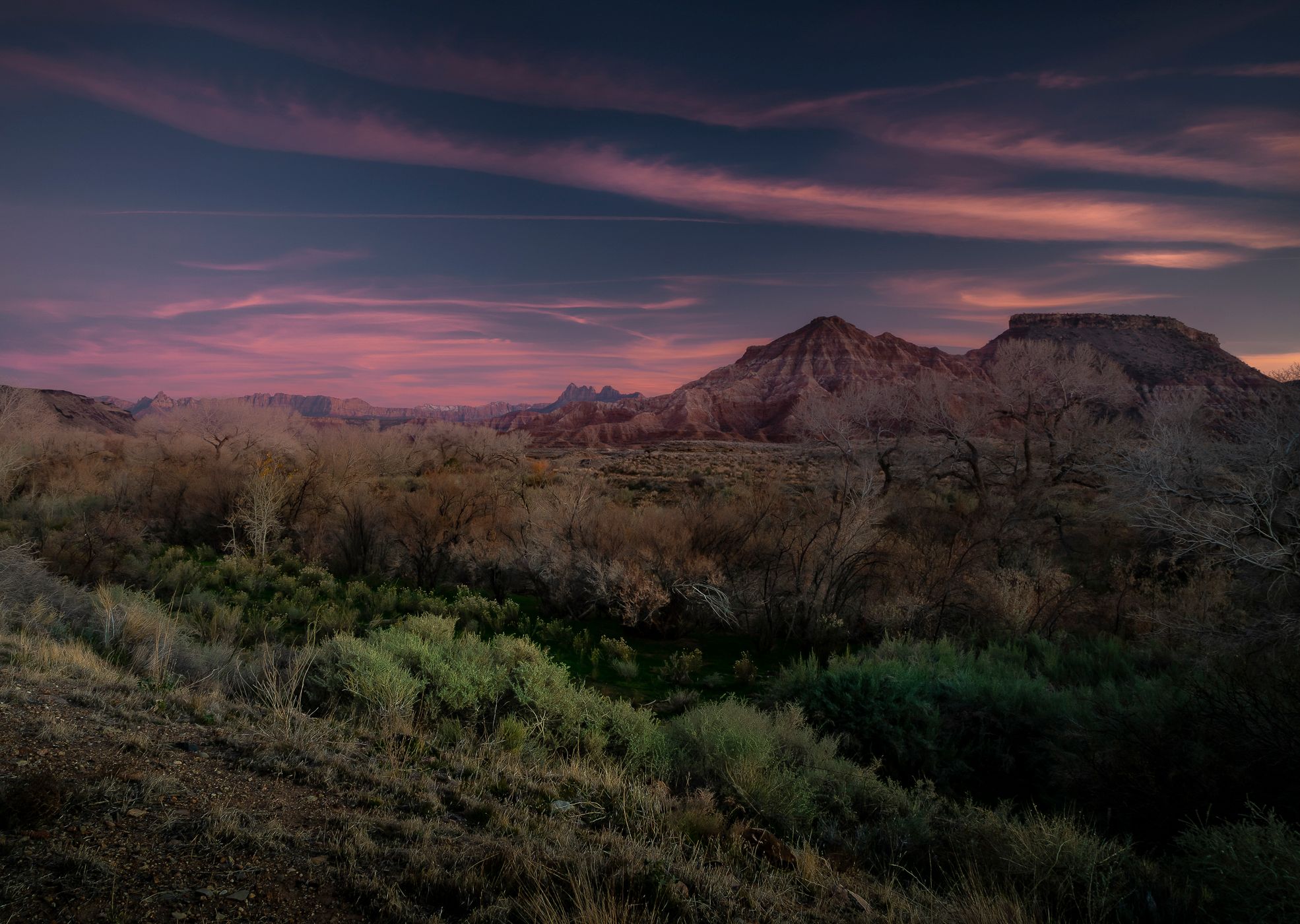 Zion National Park, USA