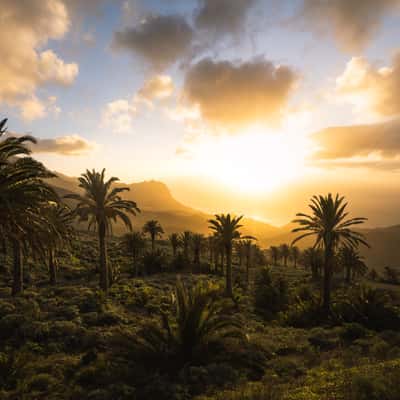 Arguamul, La Gomera, Spain