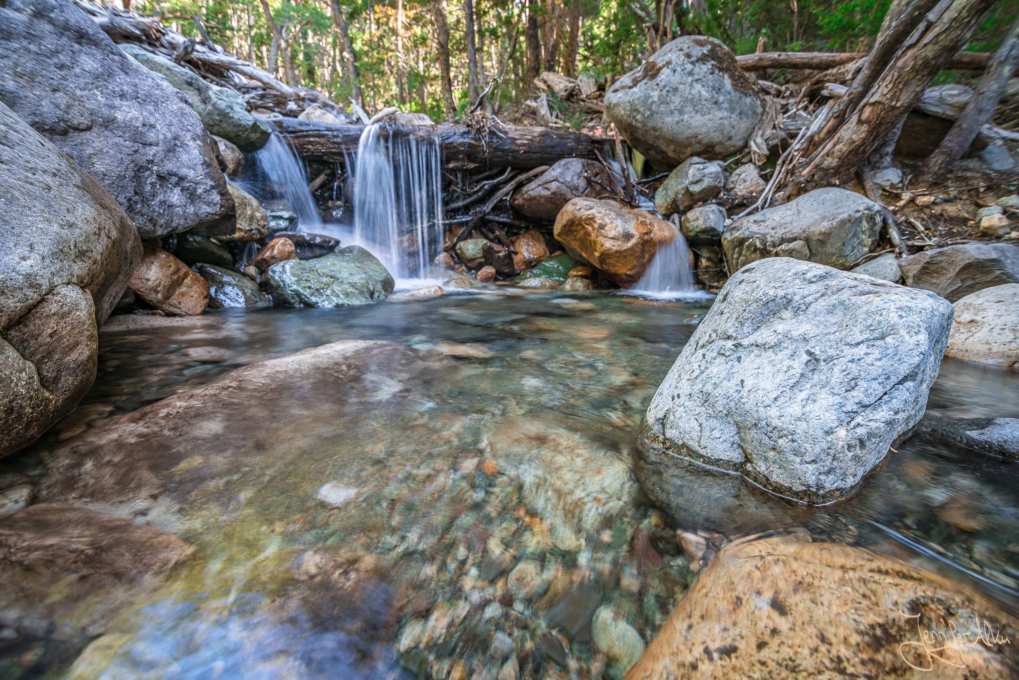 Arroyo Lopez stream near Bariloche, Argentina