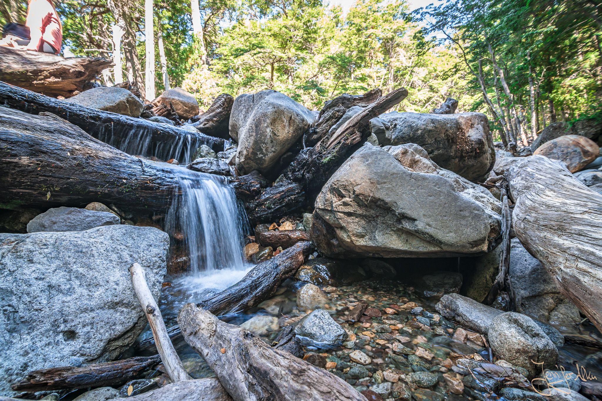 Arroyo Lopez stream near Bariloche, Argentina