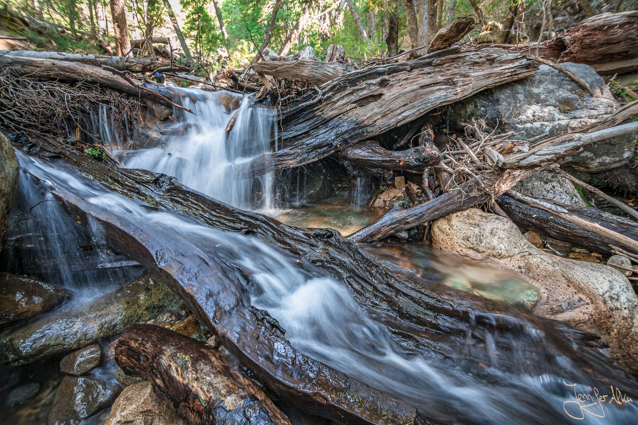Arroyo Lopez stream near Bariloche, Argentina