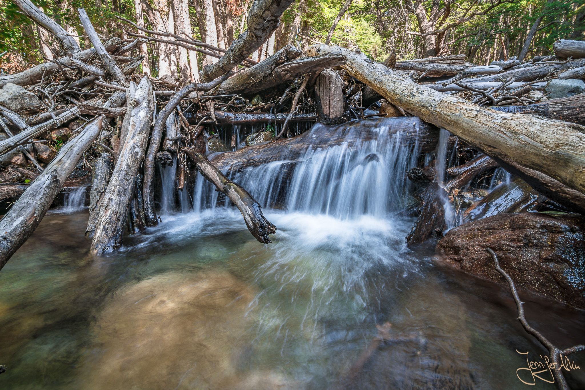 Arroyo Lopez stream near Bariloche, Argentina