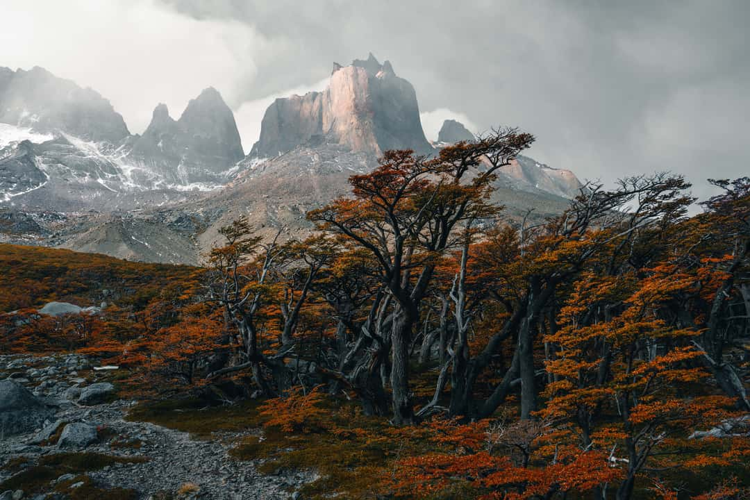 Mirador Valle del Frances, Torres del Paine