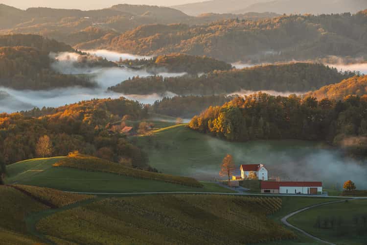 View from Razgledni stolp Plač