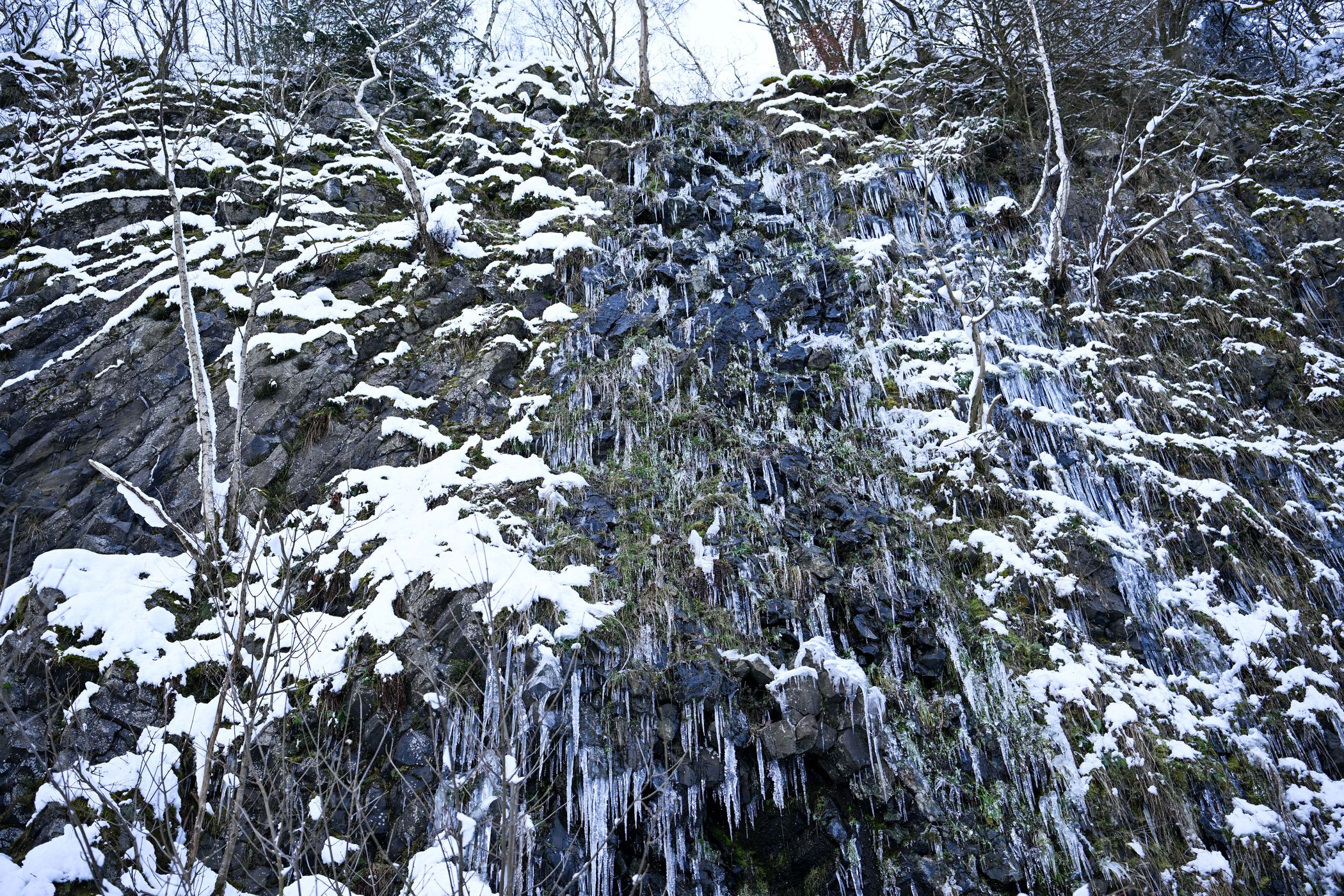 Bacher Lay, Germany