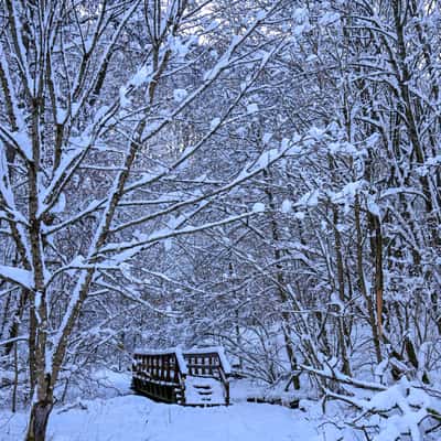 Bacher Lay, Germany