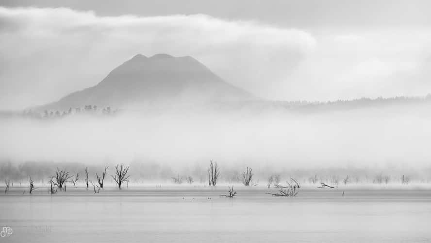 Billy Frank NWR