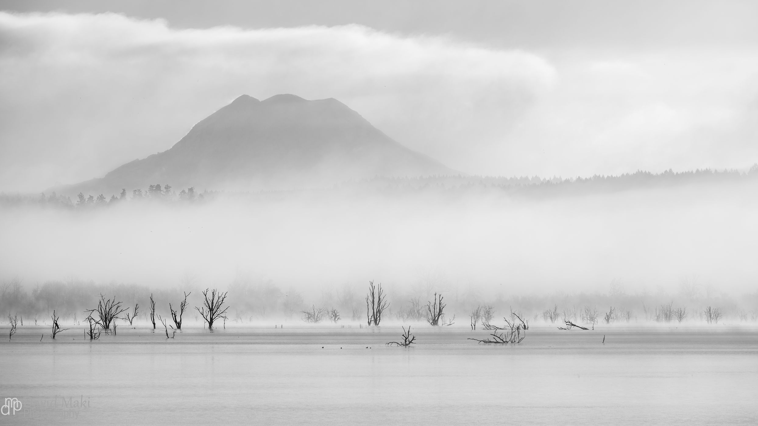 Billy Frank NWR, USA