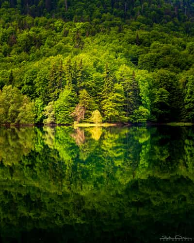 Biogradsko Jezero