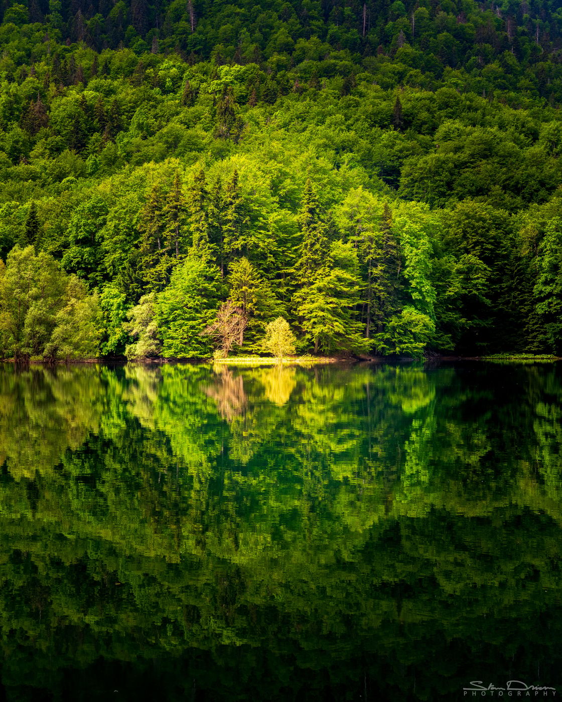 Biogradsko Jezero, Montenegro