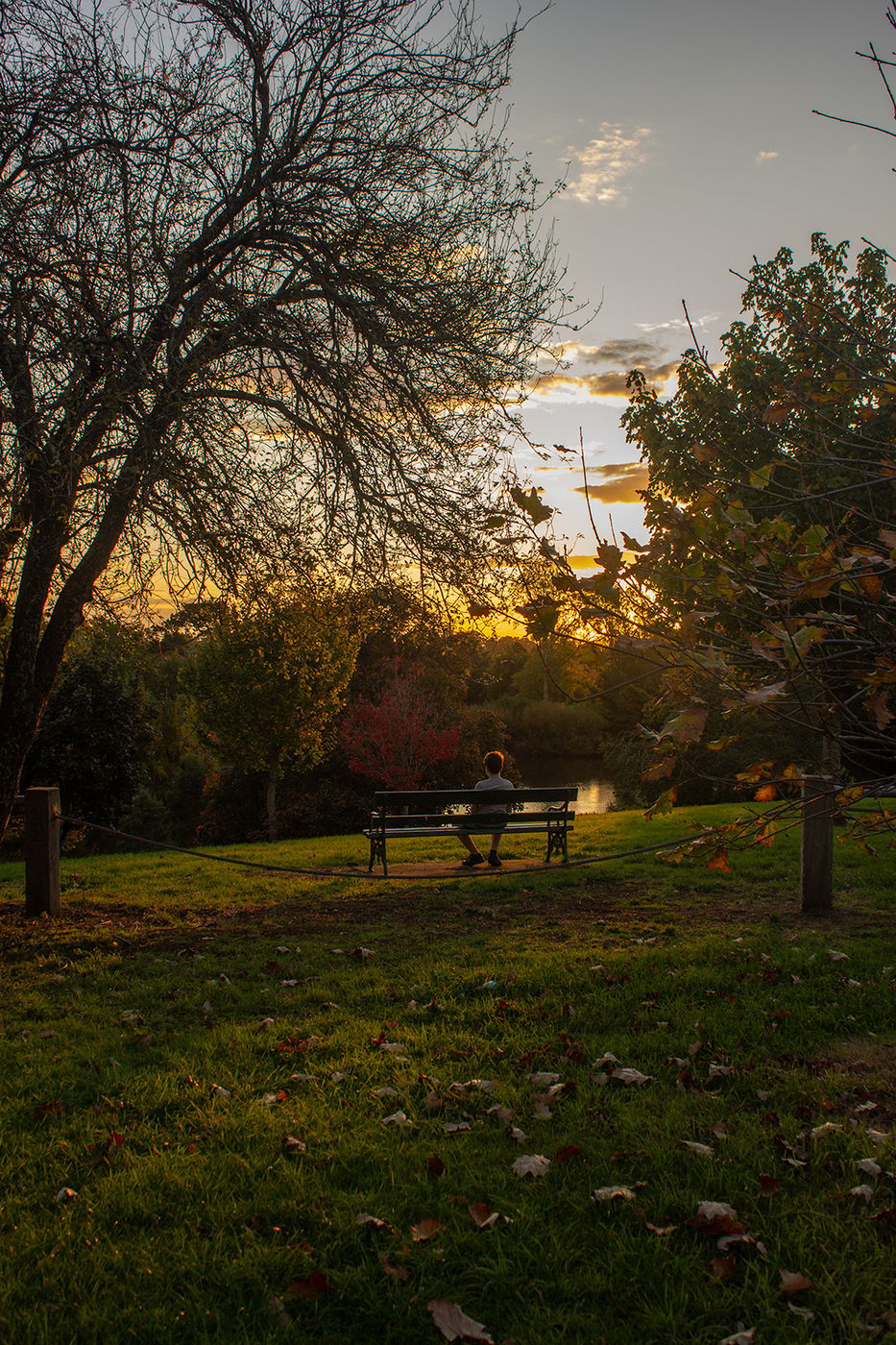 Buninyong Botanical Gardens, VIC, Australia, Australia