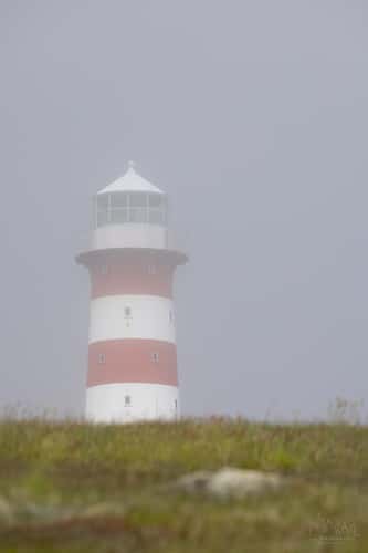 Cape Pine view, Newfoundland