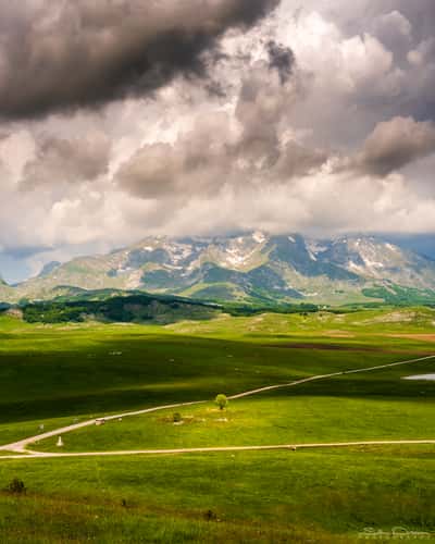 Durmitor View