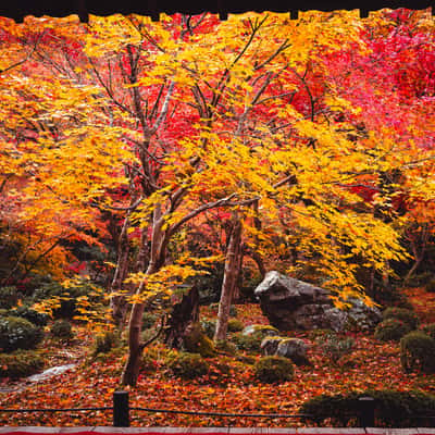 Enkō-ji Temple, Japan