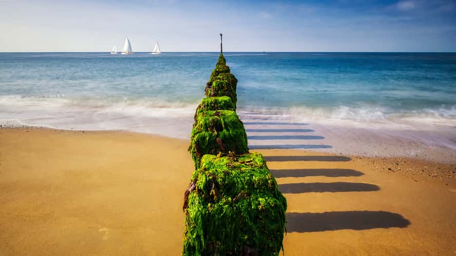 Groynes near Westkapelle 2