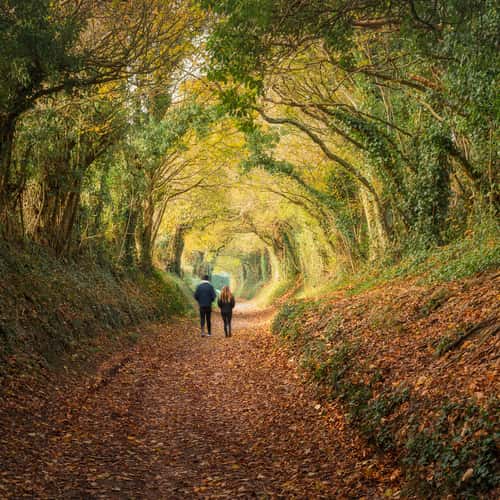 Halnaker Roman Road