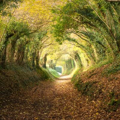 Halnaker Roman Road, United Kingdom