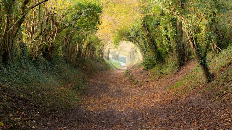 Halnaker Roman Road