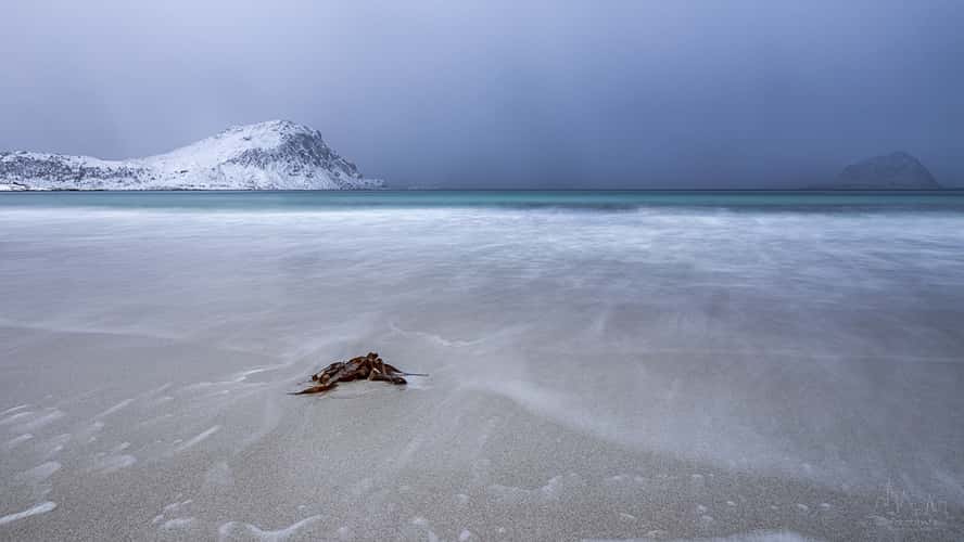 Haukland Beach, Lofoten