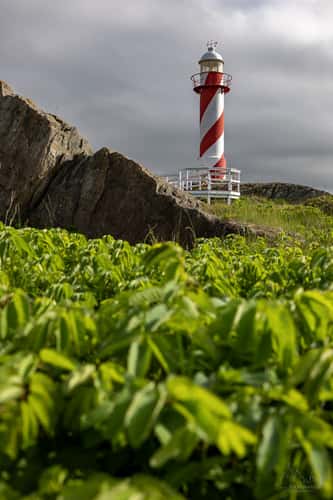 Heart’s Content Lighthouse