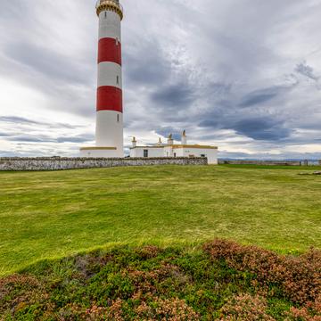 Heather Tarbat Ness Lighthouse, Scotland, UK, United Kingdom