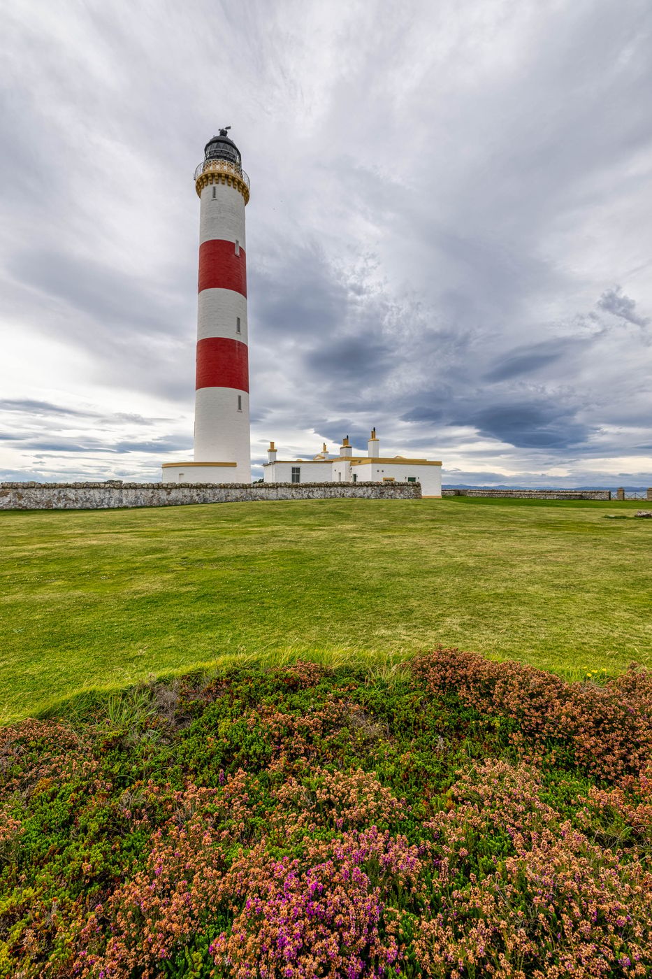 Heather Tarbat Ness Lighthouse, Scotland, UK, United Kingdom
